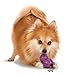 PetSafe Sportsmen Barnacle - Interactive Puzzle Toy for Dogs - Treat Holding Toy - Natural Rubber - Dishwasher Safe - Vanilla Scented - Great for Peanut Butter or Kibble - Purple - Small