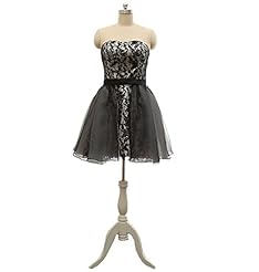 Organza Sweetheart Short Lace Evening Dress/Prom Dress/Party Dress/Wedding Dress/Mini Dress 