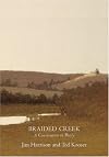 Braided Creek