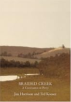 Braided Creek