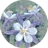Columbine - Thirstystone Coaster Set