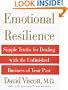 Emotional Resilience: Simple Truths for Dealing with the Unfinished Business of Your Past (Title Change from How to Get Out of Your Own Way)