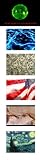 41W1Ju%2B5UnL. SL160  Envy Variety Skins for the Envy Electronic Cigarette!