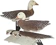 Blue Goose Dozen Duck Decoys Goose