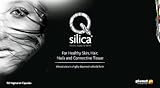 Qsilica Colloidal Silica Capsule Pack of 150