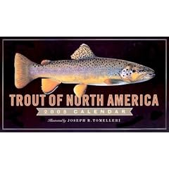 Trout of North America 2005 (Workman Wall Calendars)