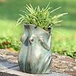 Frog Planter