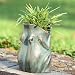 Frog Planter