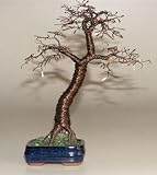 Bonsai Boys Wire Bonsai Tree Sculpture Upright Blue 10x13 41W1X3RGKAL. SL160 Bonsai Boys Wire Bonsai Tree Sculpture Upright Blue 10x13