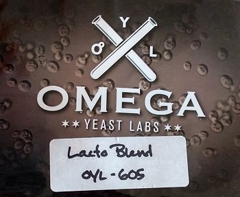 OYL-605 - Lactobacillus Blend