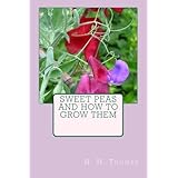 sweet peas and how to grow them