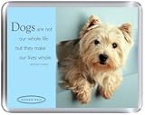Ralph - Westie Magnet by Rachael Hale