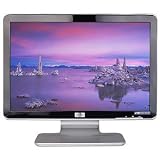 19-Inch Hewlett-Packard debranded Widescreen DVI/VGA LCD Monitor with Sprks