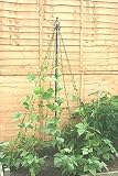 Review Haxnick  / Haxnick Garden Maypole 190cm X 100cm