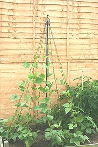 Childrens Toyshop  Outdoor Living : Maypole Climbing Frame