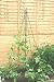 Haxnick Garden Maypole 190cm X 100cm