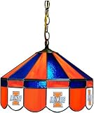 NCAA Illinois Fighting Illini 16 Tiffany Style Hanging Lamp