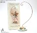 Flower Fairy Display Base ~ Cicely Mary Barker ~