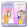 Londons Times Funny Cat Cartoons - Cat Scams - Light Switch Covers - double toggle switch