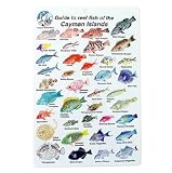 Water proof Fish Species Guide to reef fish of the Cayman Islands