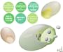 Pecon Pill Case