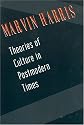 Theories of Culture in Postmodern Times