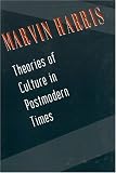 Theories of Culture in Postmodern Times