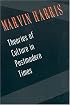 Theories of Culture in Postmodern Times