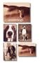 Underdogs Note Cards in a Two-Piece Box (Potter Style)
