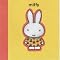A Miffy List!  '     x    '