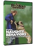Dog Breaking Naughty Behaviors DVD
