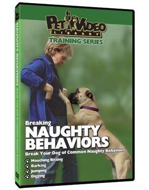 Dog Breaking Naughty Behaviors DVD