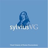 Sylvius Vg: Visual Glossary Of Human Neuroanatomy