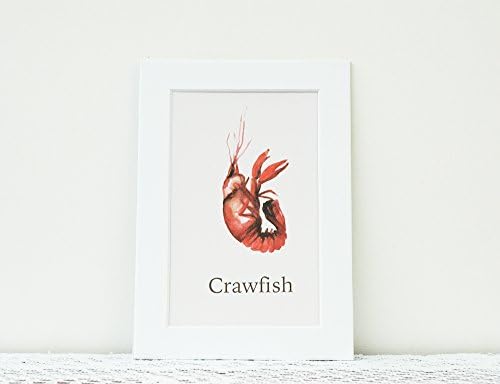Watercolor Crawfish Matted Print