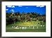 Cornwall Cricket Club, Auckland, New Zealand Framed Photographic Poster Print by David Wall, 29x21