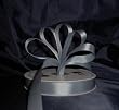 Ribbon - Satin Ribbon- 5/8" Single Face 50 Yards (150 FT) - Silver - Sewing - Craft - Wedding Favors