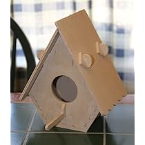 The Little Birdhouse Kit