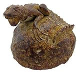 IMAGE OF Terracotta Iguana on Rock