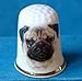 Porcelain China Collectable Thimble --- Pug Dog