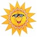 Search : Hanging Honeycomb Sun Paper Decorations (12 count)