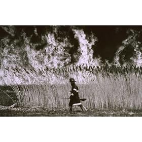 Firefighter, Art Poster by John Mottern