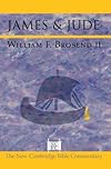 James and Jude (New Cambridge Bible Commentary)