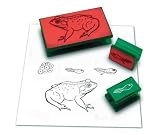 Review Learning Resources® LER1116 / Frog Life Cycle Stamps