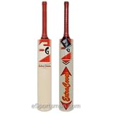 Buy SG Extra Cover English Willow Cricket bat