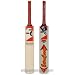 SG Extra Cover English Willow Cricket bat