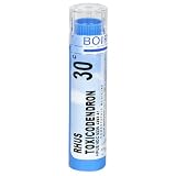 Boiron Homeopathic Medicine Rhus Toxicodendron, 30C Pellets, 80-Count Tubes (Pack of 5)