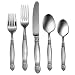 Oneida Dickinson 5-Piece Place Setting, Service for 1