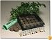 Indoor Culinary Herb Garden Starter Kit - Everything You Need to Start Growing Fresh Cooking Herbs & Spices - Great Gift Idea! - Seeds: Parsley, Thyme, Cilantro, Basil, Dill, Oregano, Sweet Marjoram, Chives, Sabory, Garlic Chives, Mustard, Sage. Rated Top Herb Garden By Wall Street Journal Weekend Journal & Five Star Review Editors Choice