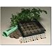 Indoor Culinary Herb Garden Starter Kit- Start Growing Fresh Cooking Herbs & Spices- Great Gift Idea!- Seeds: Parsley, Thyme, Cilantro, Basil, Dill, Oregano, Sweet Marjoram, Chives, Savory, Garlic Chives, Mustard, Sage