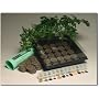 Indoor Culinary Herb Garden Starter Kit- Start Growing Fresh Cooking Herbs & Spices- Great Gift Idea!- Seeds: Parsley, Thyme, Cilantro, Basil, Dill, Oregano, Sweet Marjoram, Chives, Savory, Garlic Chives, Mustard, Sage